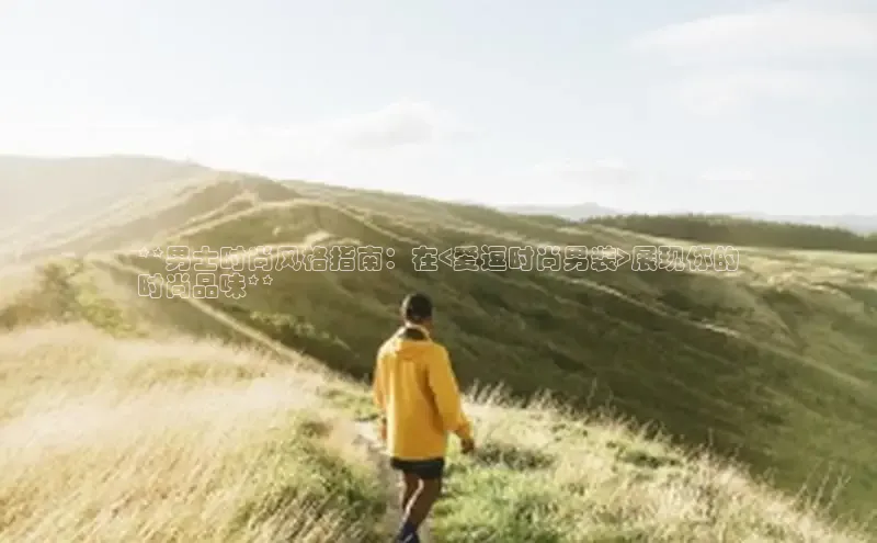 米兰体育中心文心一言